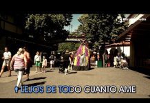 Luis Fonsi Y Marey – La Fuerza De Mi Corazon (Karaoke)