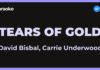 David Bisbal, Carrie Underwood – Tears of gold (Karaoke)