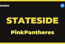 PinkPantheress – Stateside (Karaoke)