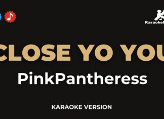 Pinkpantheress – Close to you (Karaoke version)
