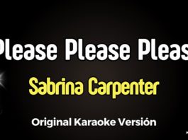please_please_please_karaoke