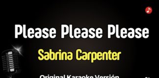 please_please_please_karaoke