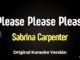 please_please_please_karaoke