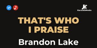 That’s who I praise – Brandon Lake (Karaoke with Lyrics)
