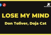 Lose my mind – Don Toliver, Doja Cat (Karaoke with Lyrics)