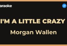 I’m a little crazy – Morgan Wallen (Karaoke con Letra)