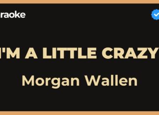 I’m a little crazy – Morgan Wallen (Karaoke con Letra)