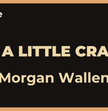 I’m a little crazy – Morgan Wallen (Karaoke con Letra)