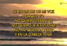LA GUITARRA – LOS AUTENTICOS DECADENTES (Karaoke con Letra)