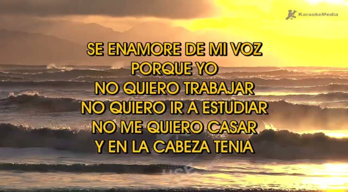LA GUITARRA – LOS AUTENTICOS DECADENTES (Karaoke with Lyrics)